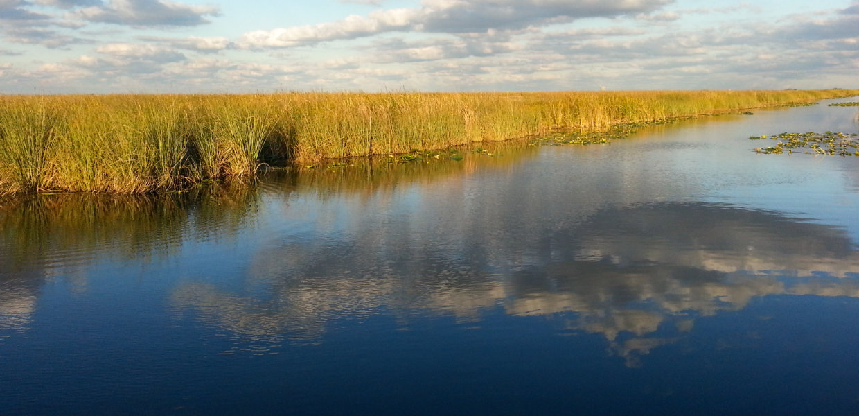 Florida Everglades Airboat Bass Fishing – Gladesmen Culture