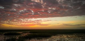 Everglades airboat sunset