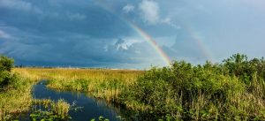 Everglades Skyline, Double Rainbow