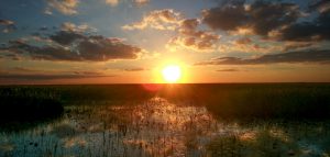 Everglades sunset, Miami airboat tours