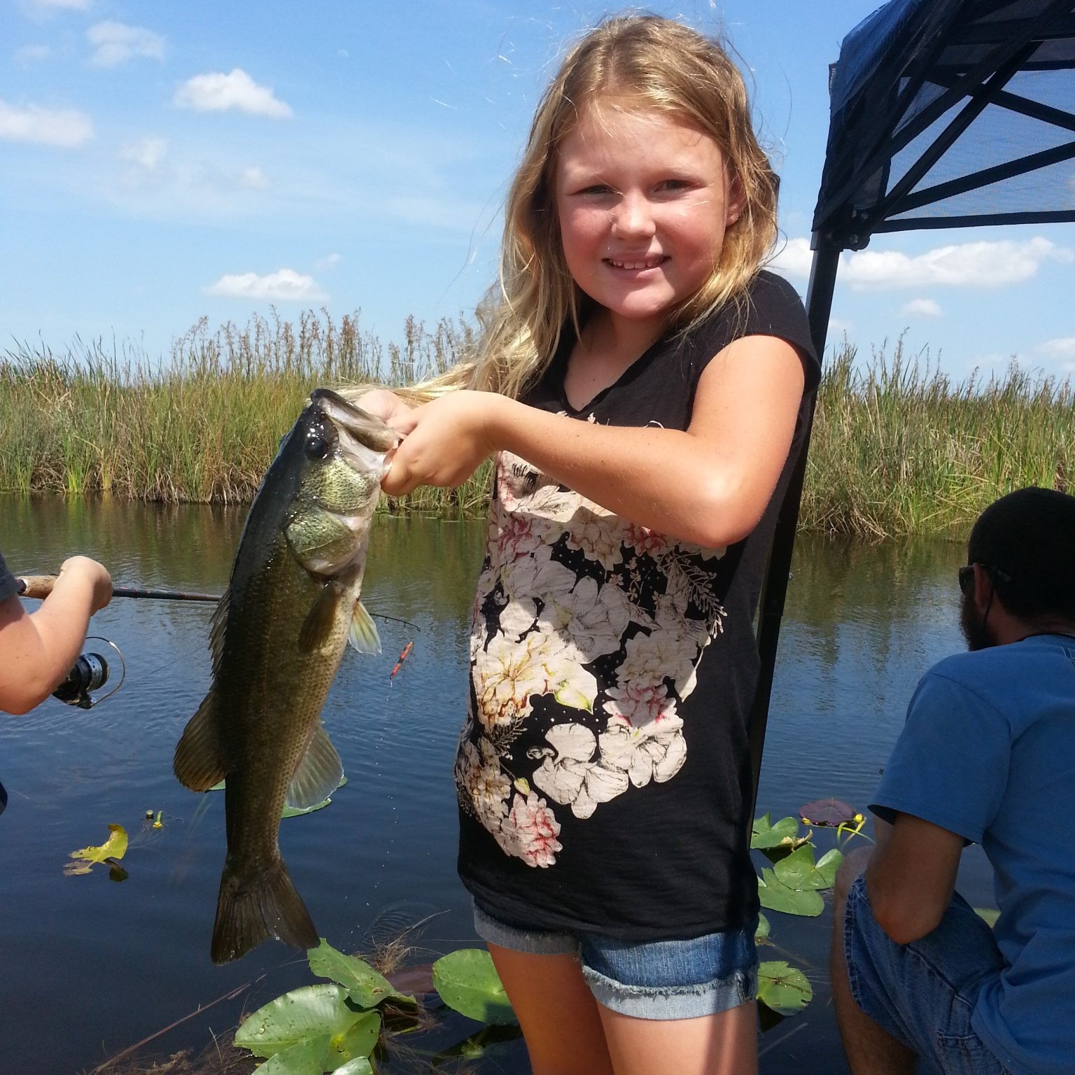 everglades bass fishing, bass, largemouth,