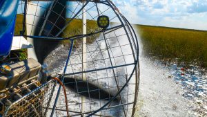 airboat, blowboat, fanboat, airboat ride, everglades airboat tour