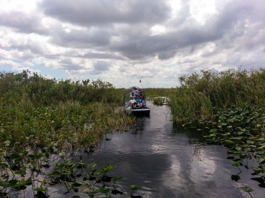 Everglades wet season, Miami airboat tours, Florida Wildlife