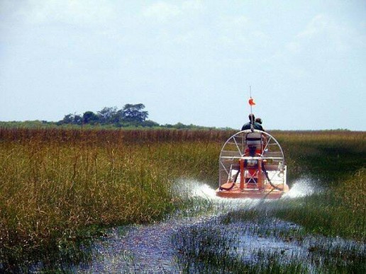 sawgrass marsh, miami airboat tours, gladesmen culture, everglades eco tour